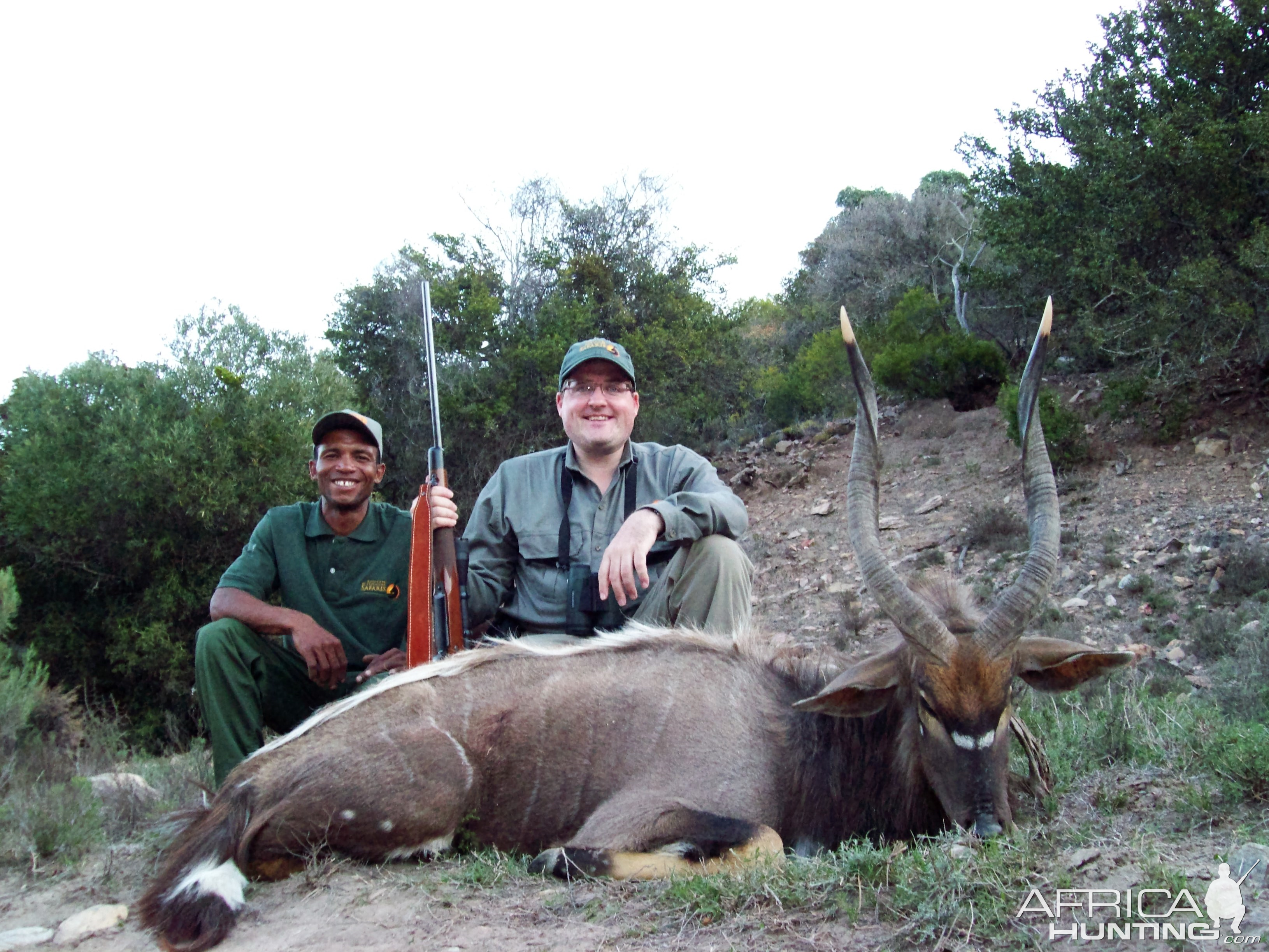 South Africa Hunt Nyala