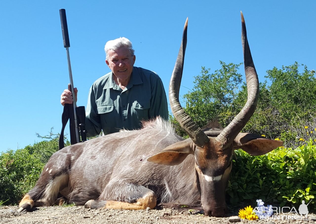 South Africa Hunt Nyala