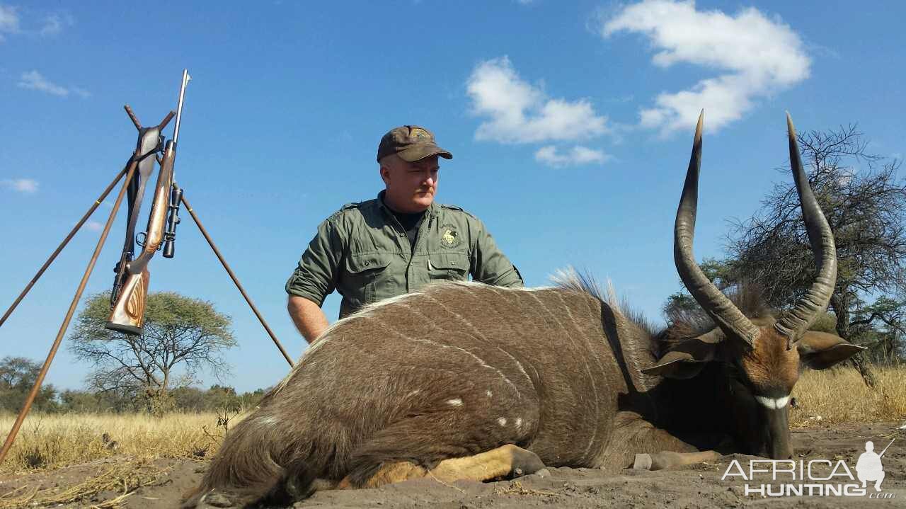 South Africa Hunt Nyala