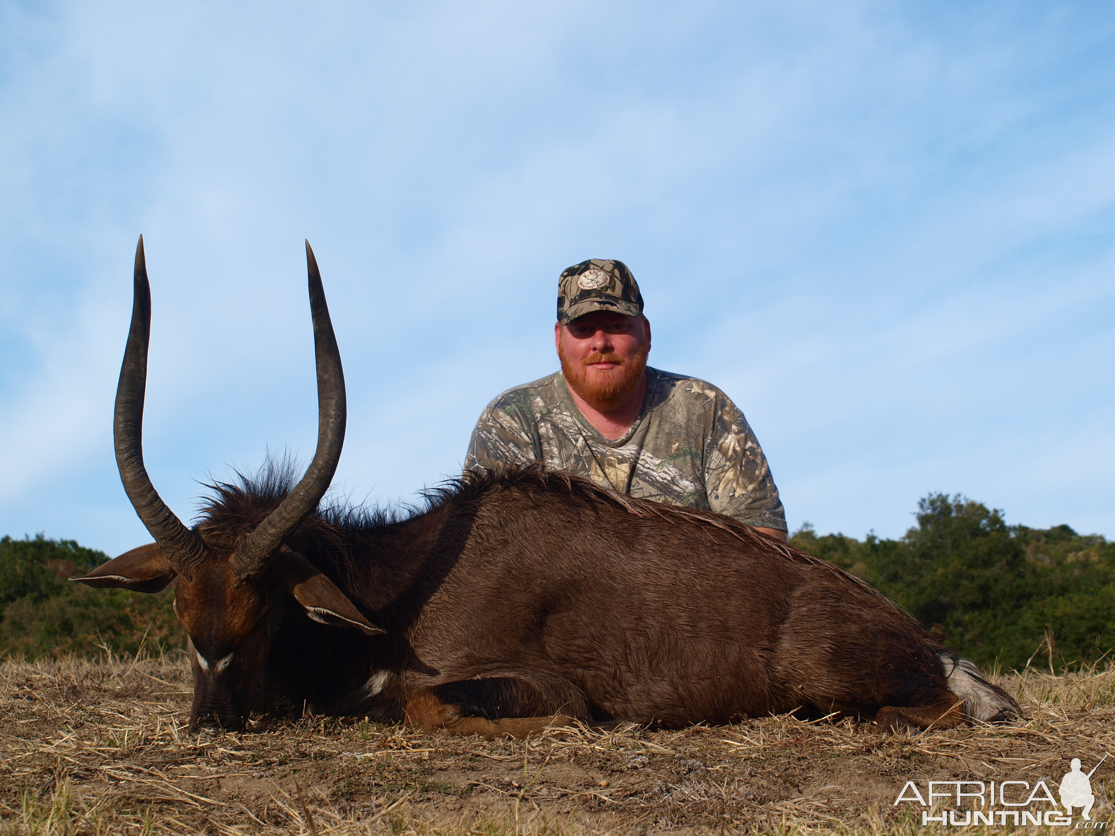 South Africa Hunt Nyala