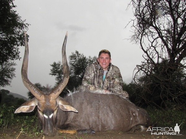 South Africa Hunt Nyala