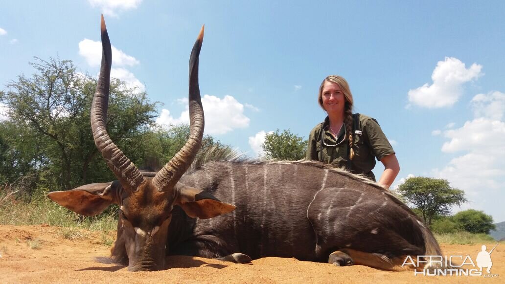 South Africa Hunt Nyala