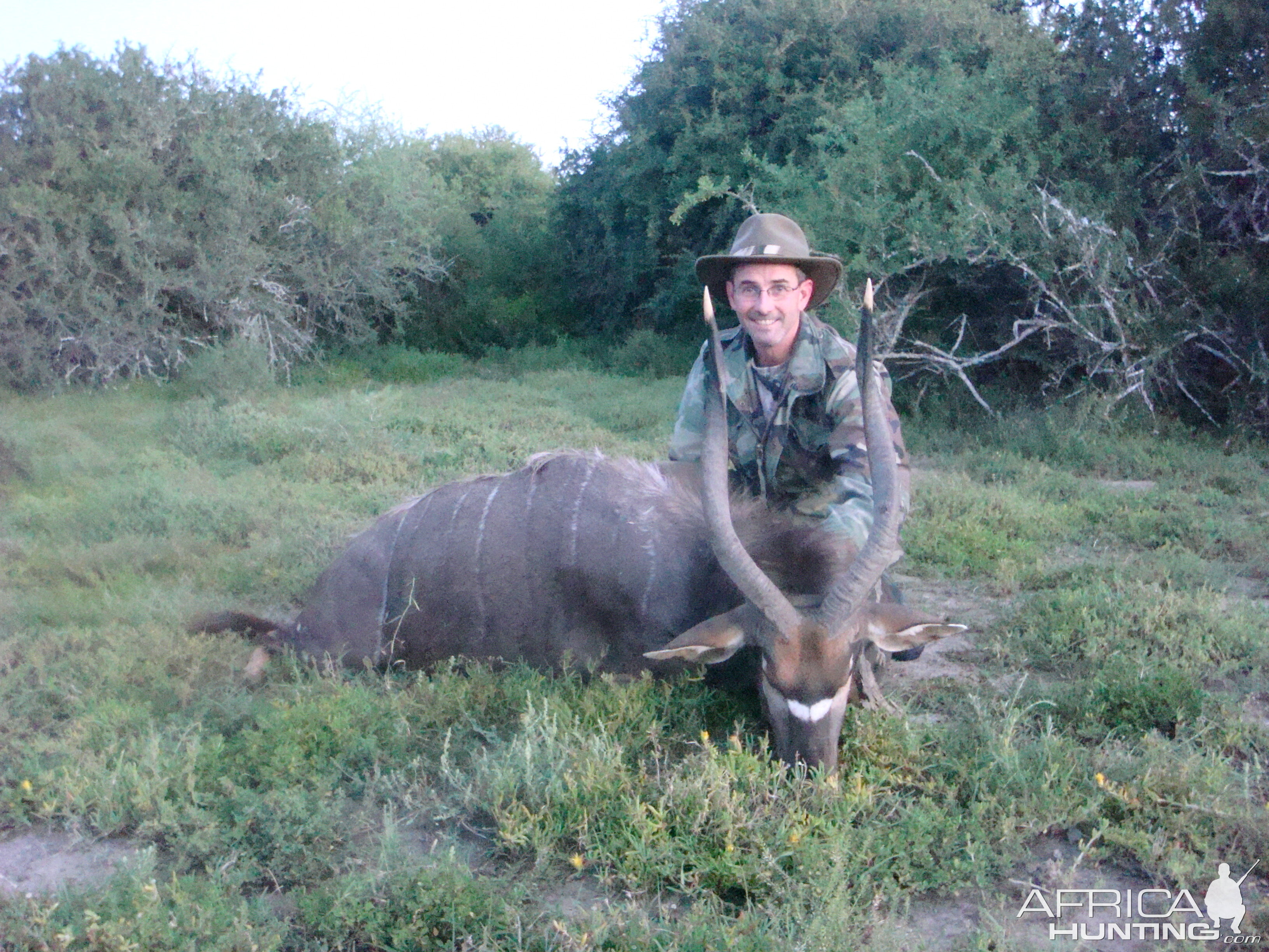 South Africa Hunt Nyala