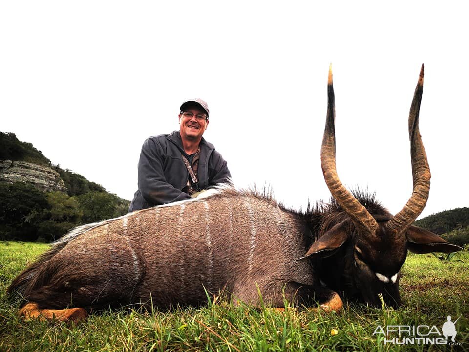 South Africa Hunt Nyala