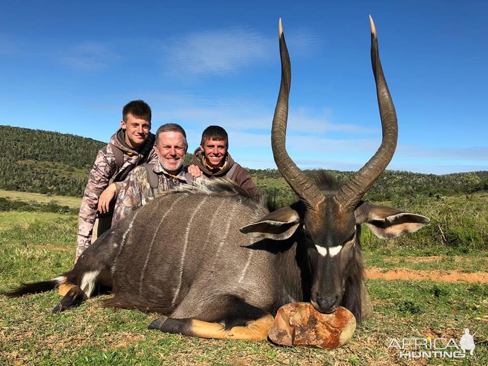 South Africa Hunt Nyala