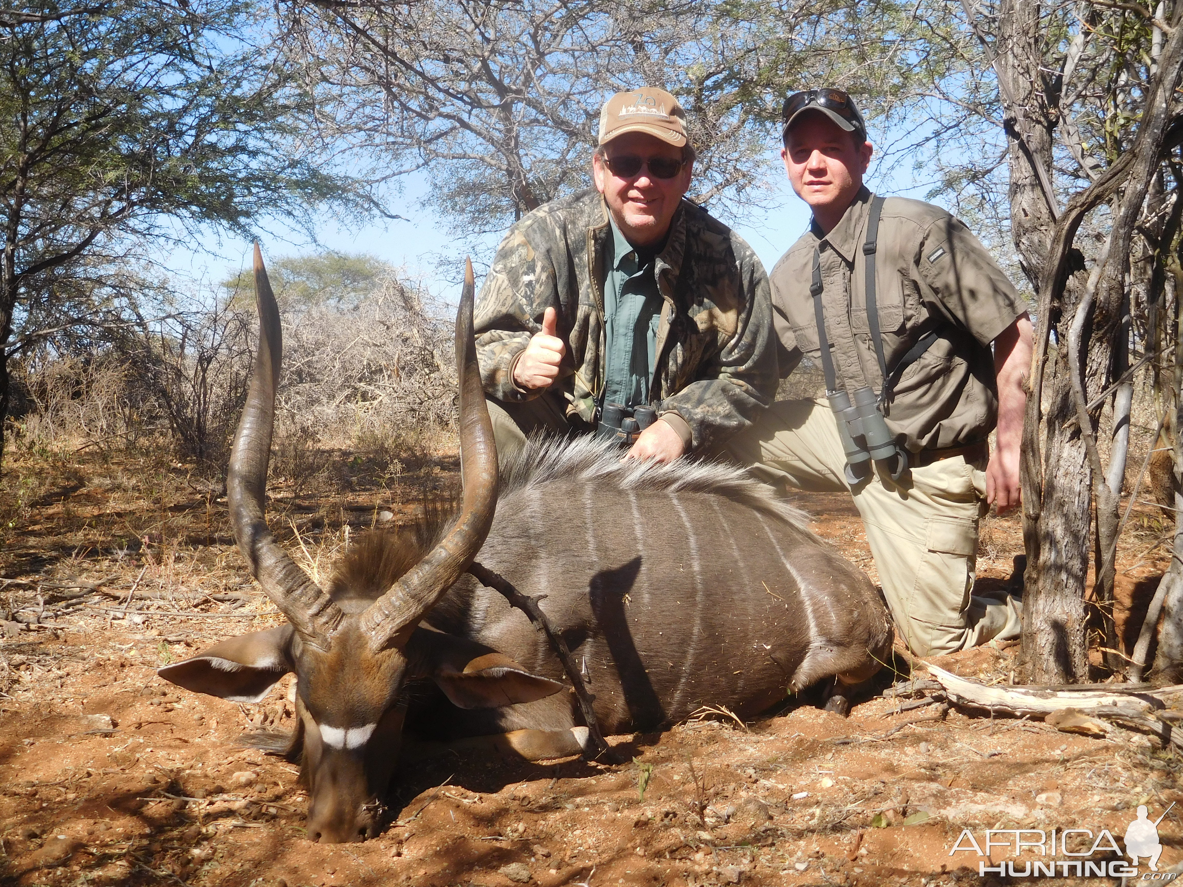 South Africa Hunt Nyala