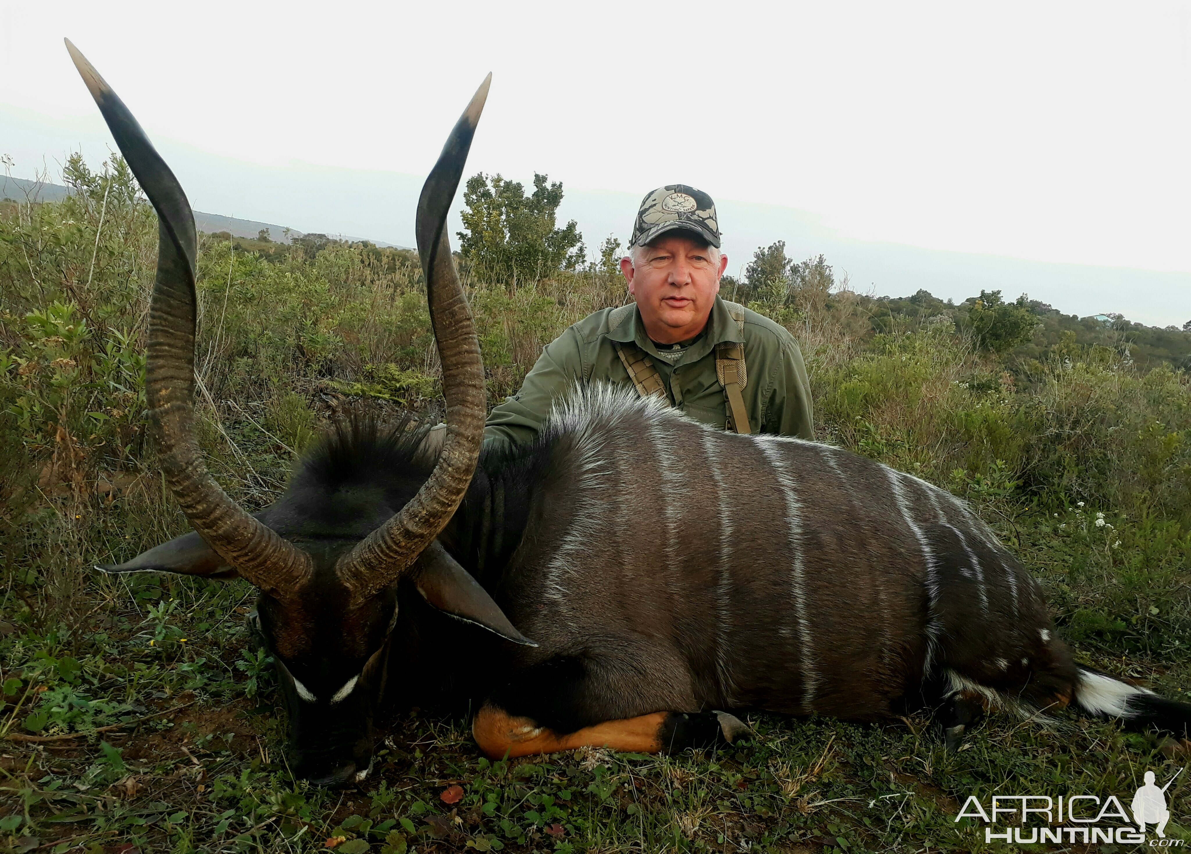 South Africa Hunt Nyala