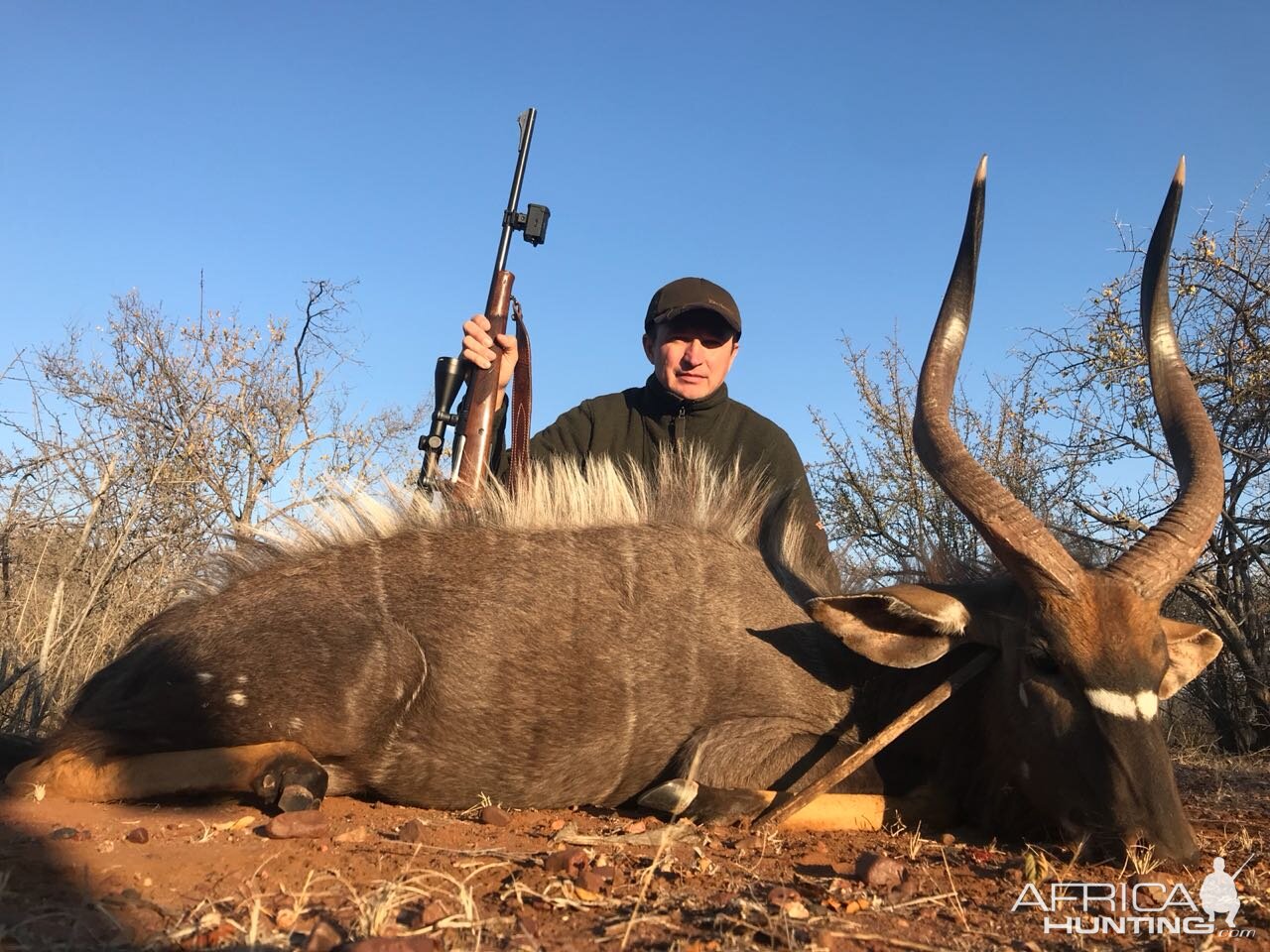 South Africa Hunt Nyala