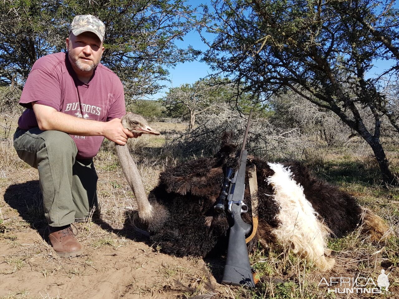 South Africa Hunt Ostrich