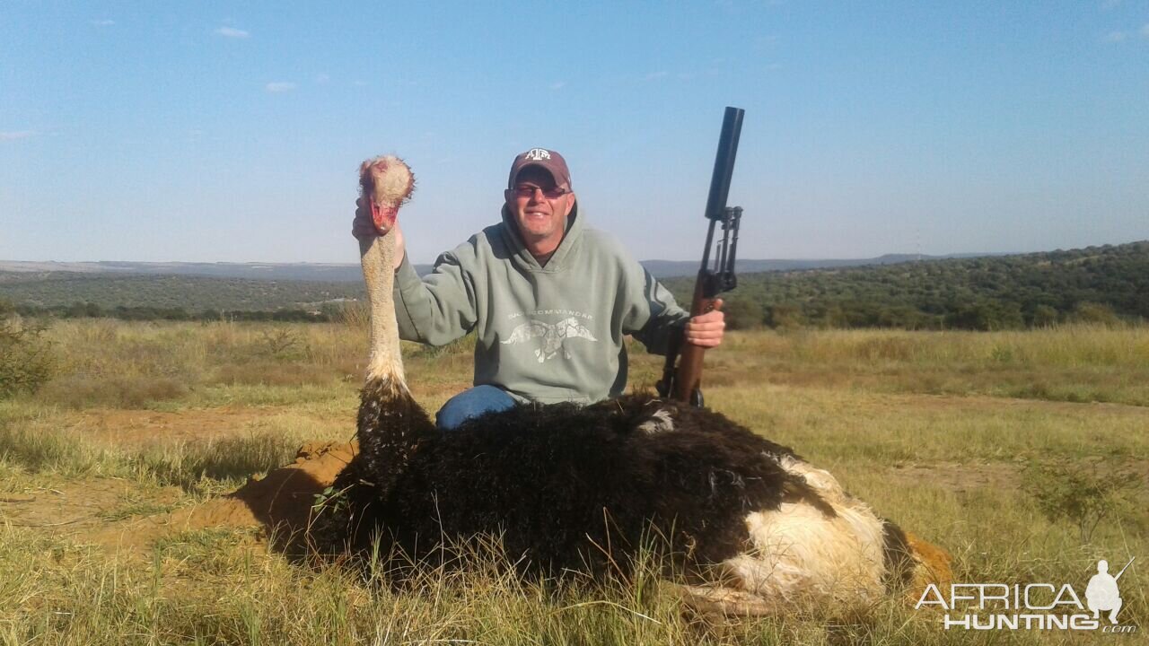 South Africa Hunt Ostrich