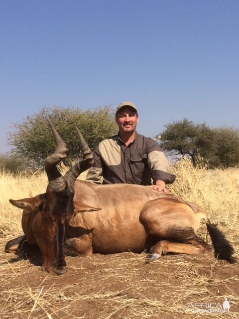 South Africa  Hunt Red Hartebeest