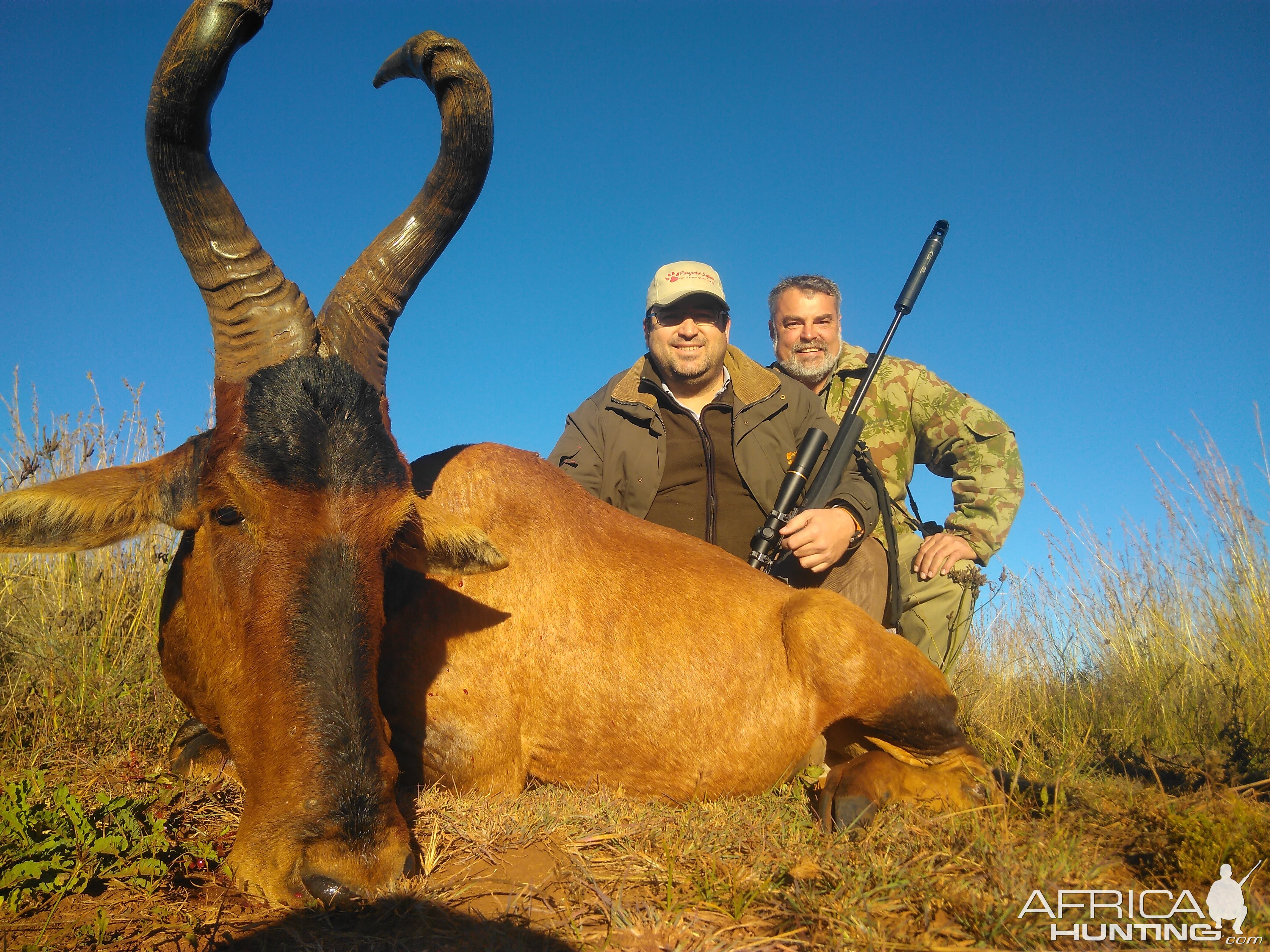 South Africa Hunt Red Hartebeest