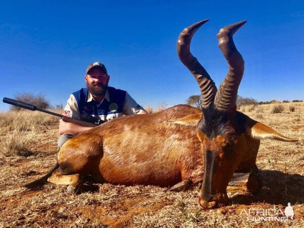 South Africa Hunt Red Hartebeest