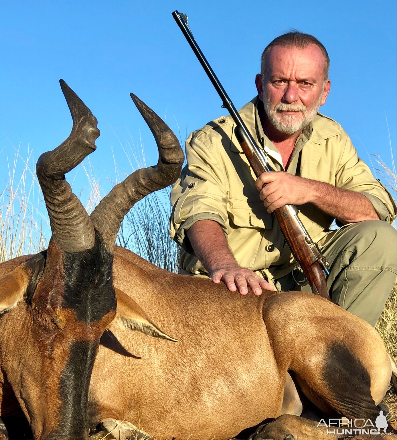 South Africa Hunt Red Hartebeest