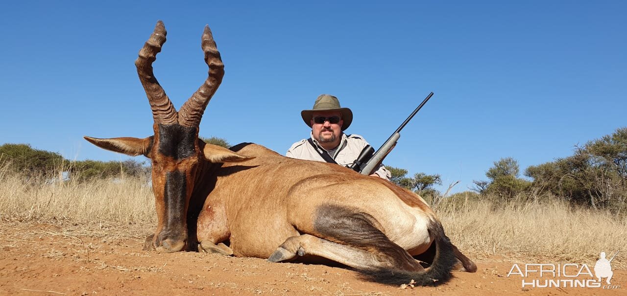 South Africa Hunt Red Hartebeest