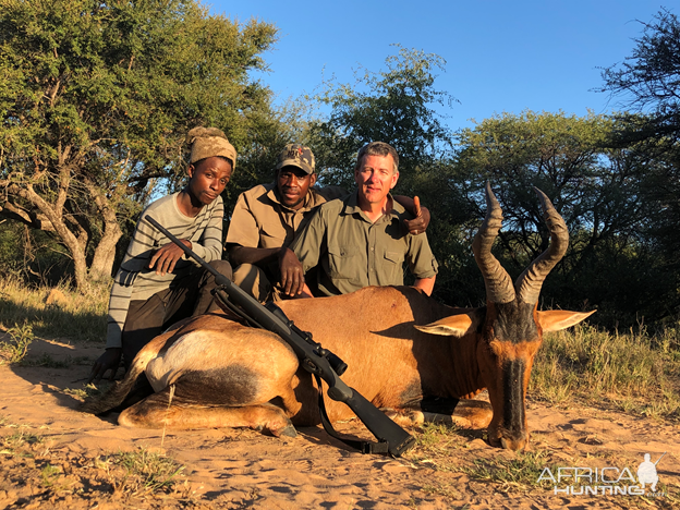 South Africa Hunt Red Hartebeest