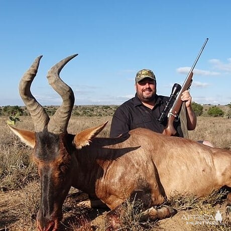 South Africa Hunt Red Hartebeest