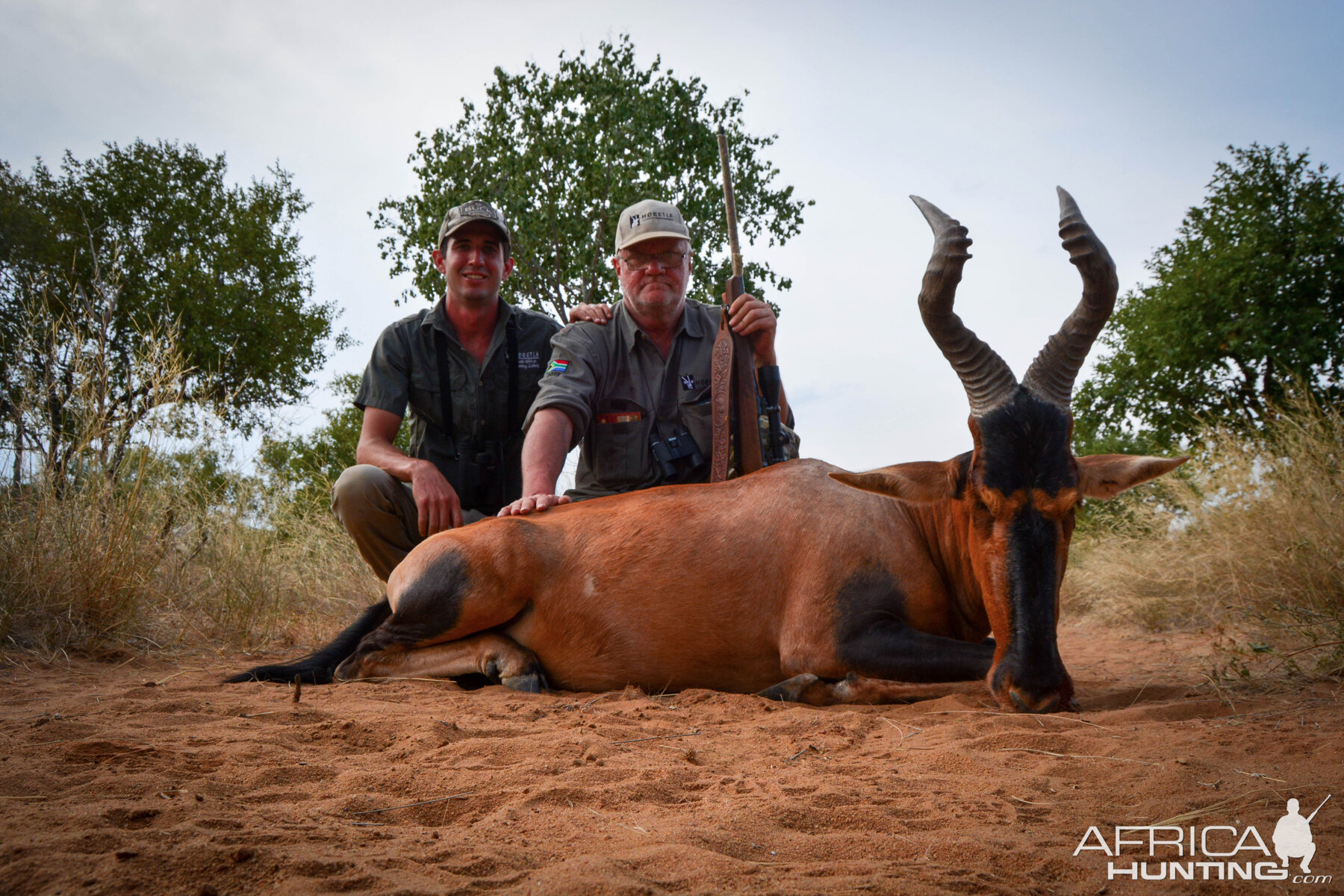 South Africa Hunt Red Hartebeest