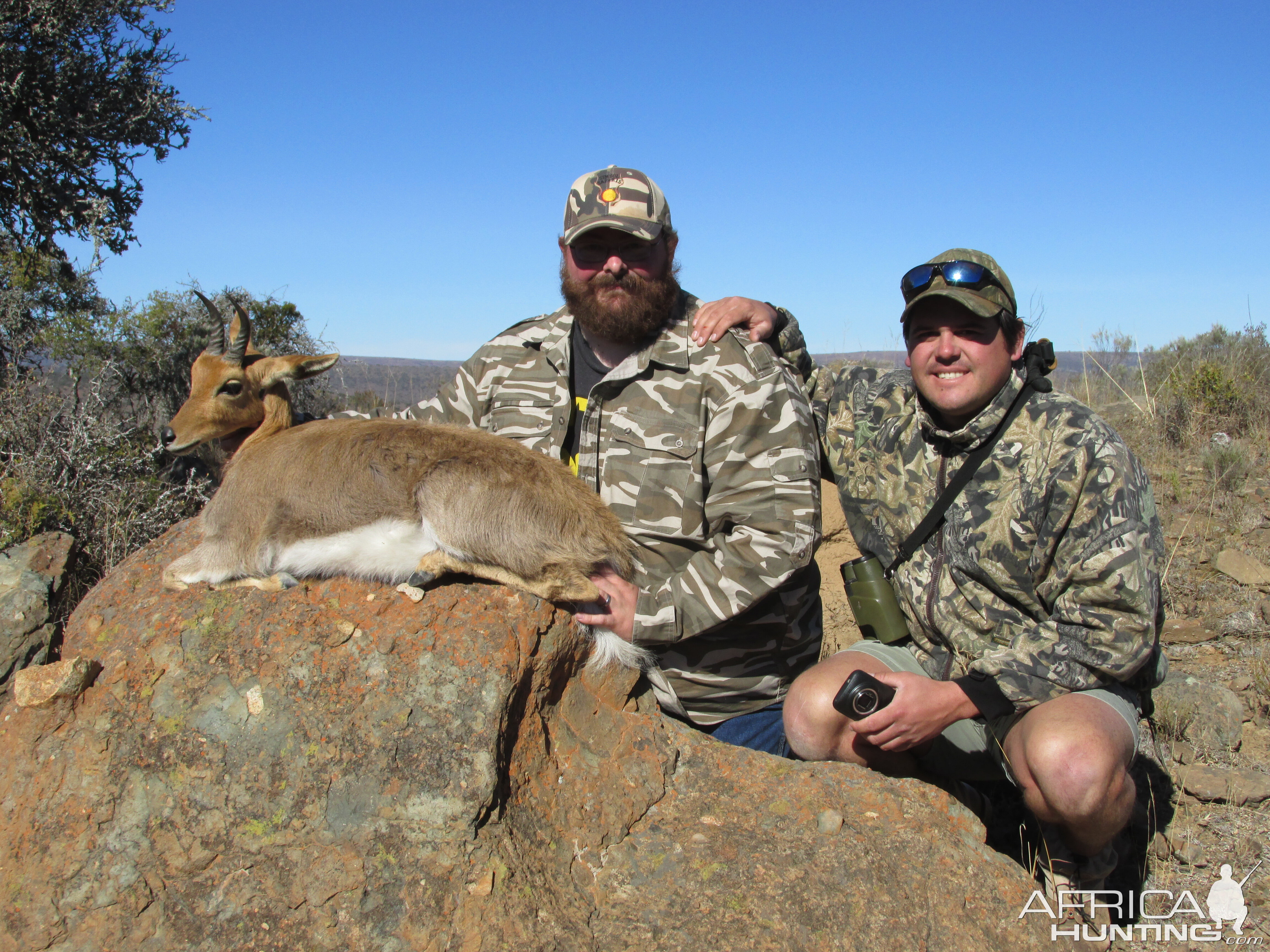 South Africa Hunt Reedbuck