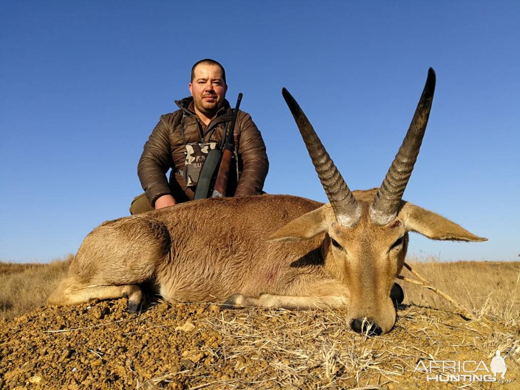 South Africa Hunt Reedbuck