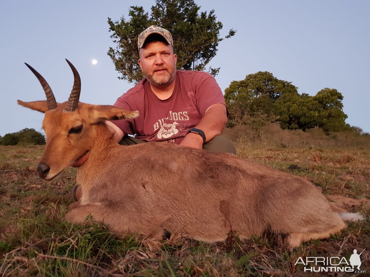 South Africa Hunt Reedbuck