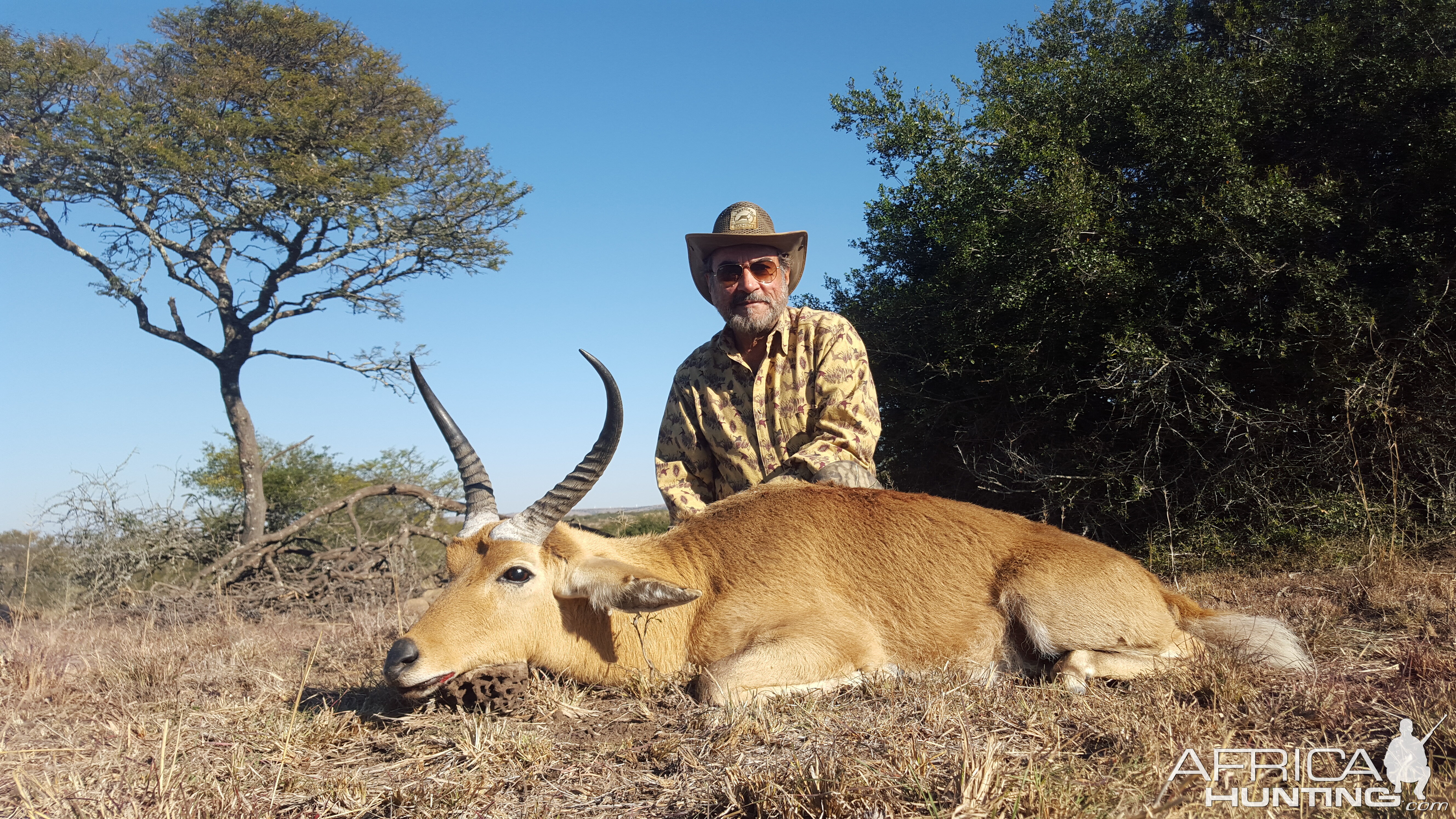 South Africa Hunt Reedbuck