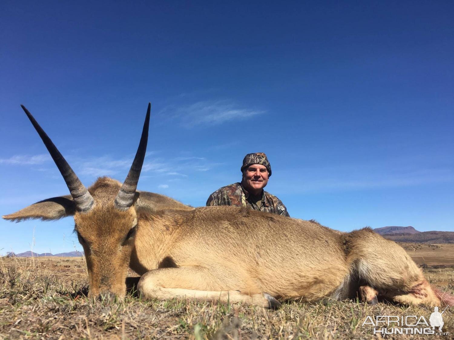 South Africa Hunt Reedbuck