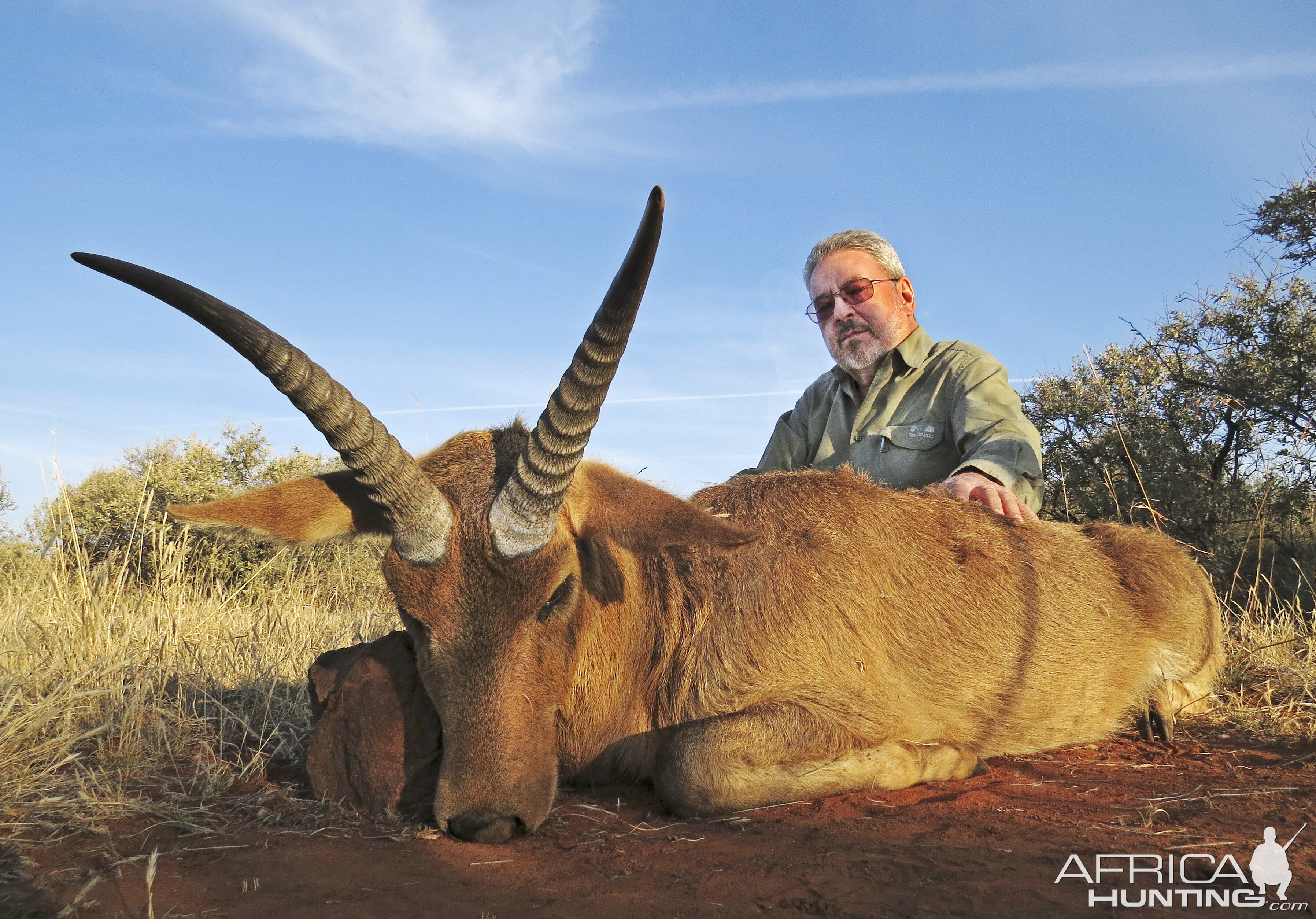 South Africa Hunt Reedbuck