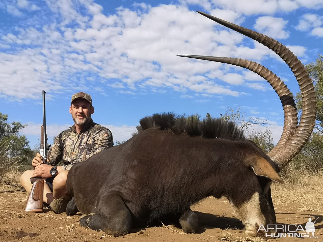 South Africa Hunt Sable Antelope