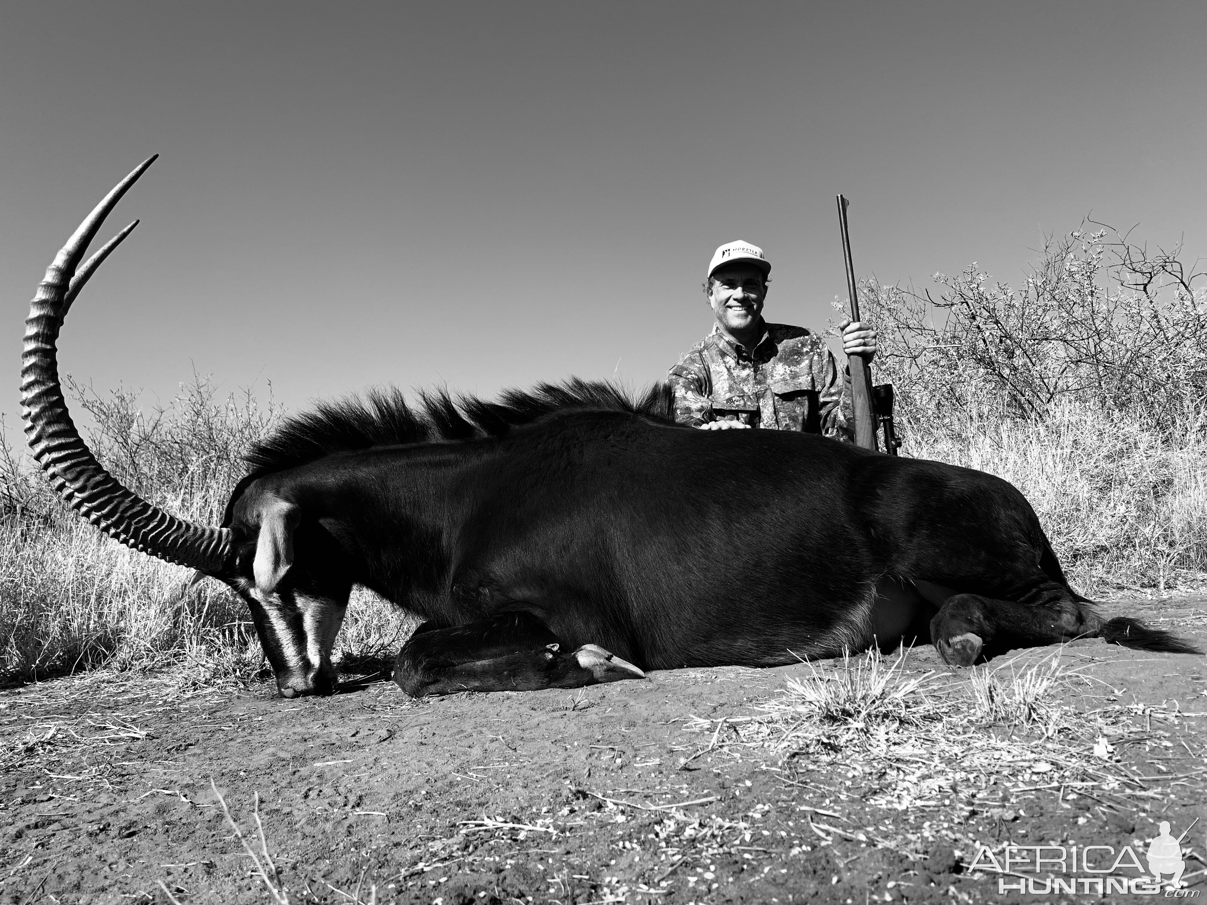 South Africa Hunt Sable Antelope