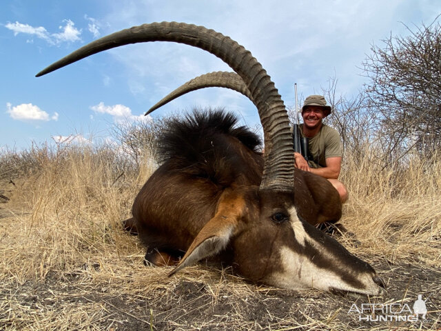 South Africa Hunt Sable Antelope