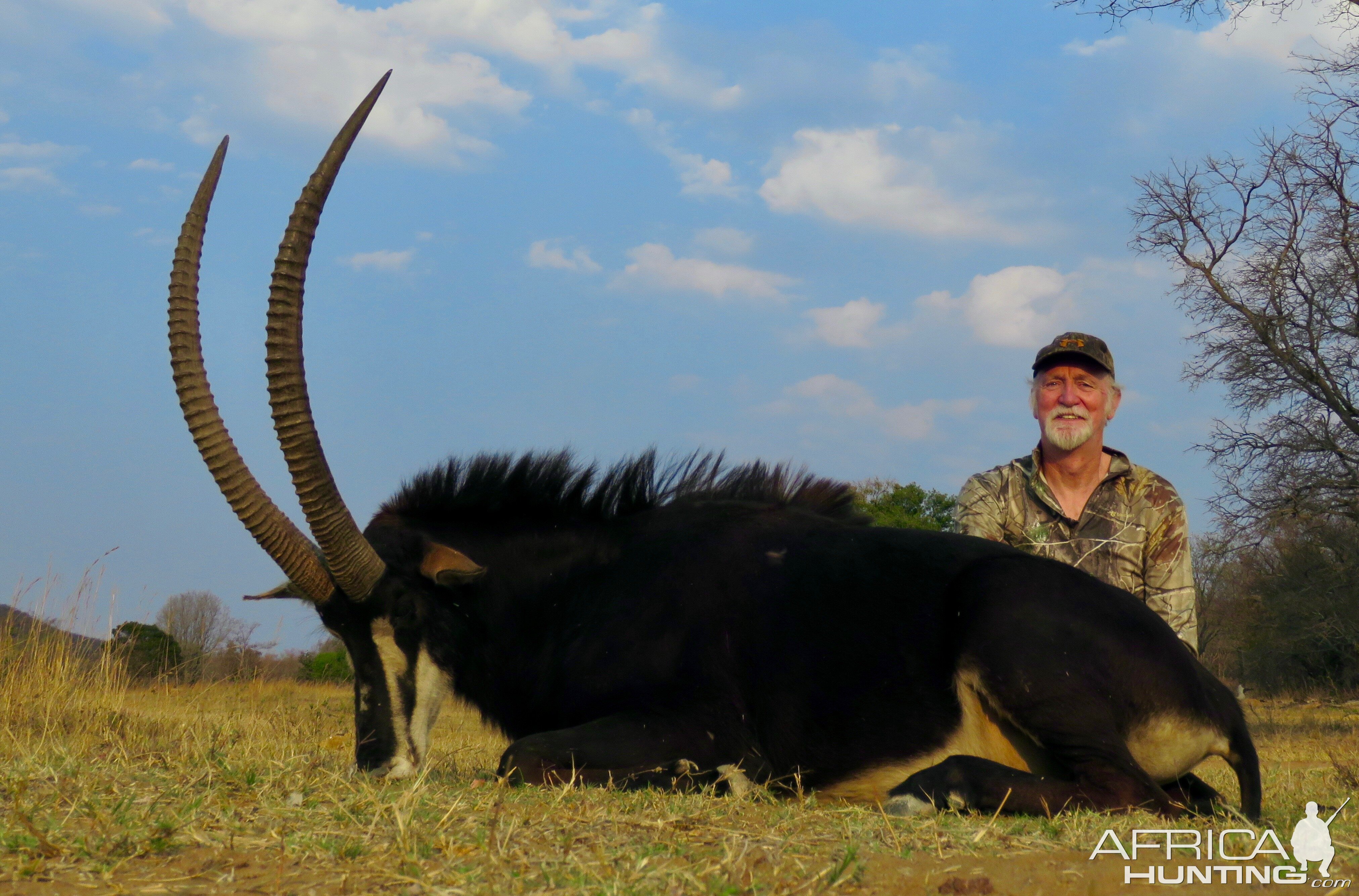 South Africa Hunt Sable Antelope