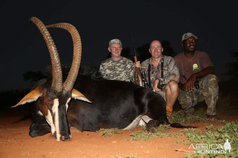 South Africa Hunt Sable Antelope