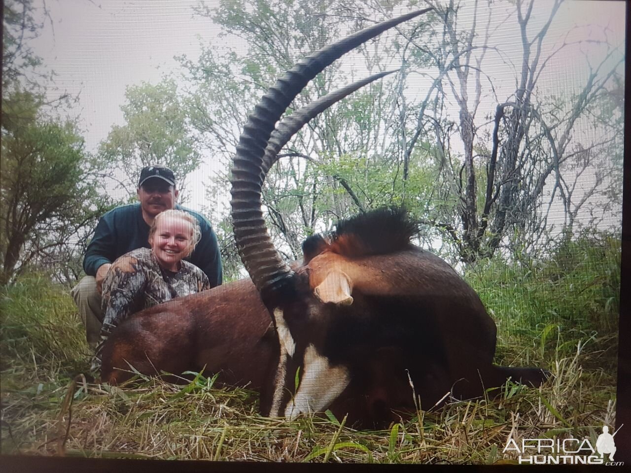 South Africa Hunt Sable Antelope