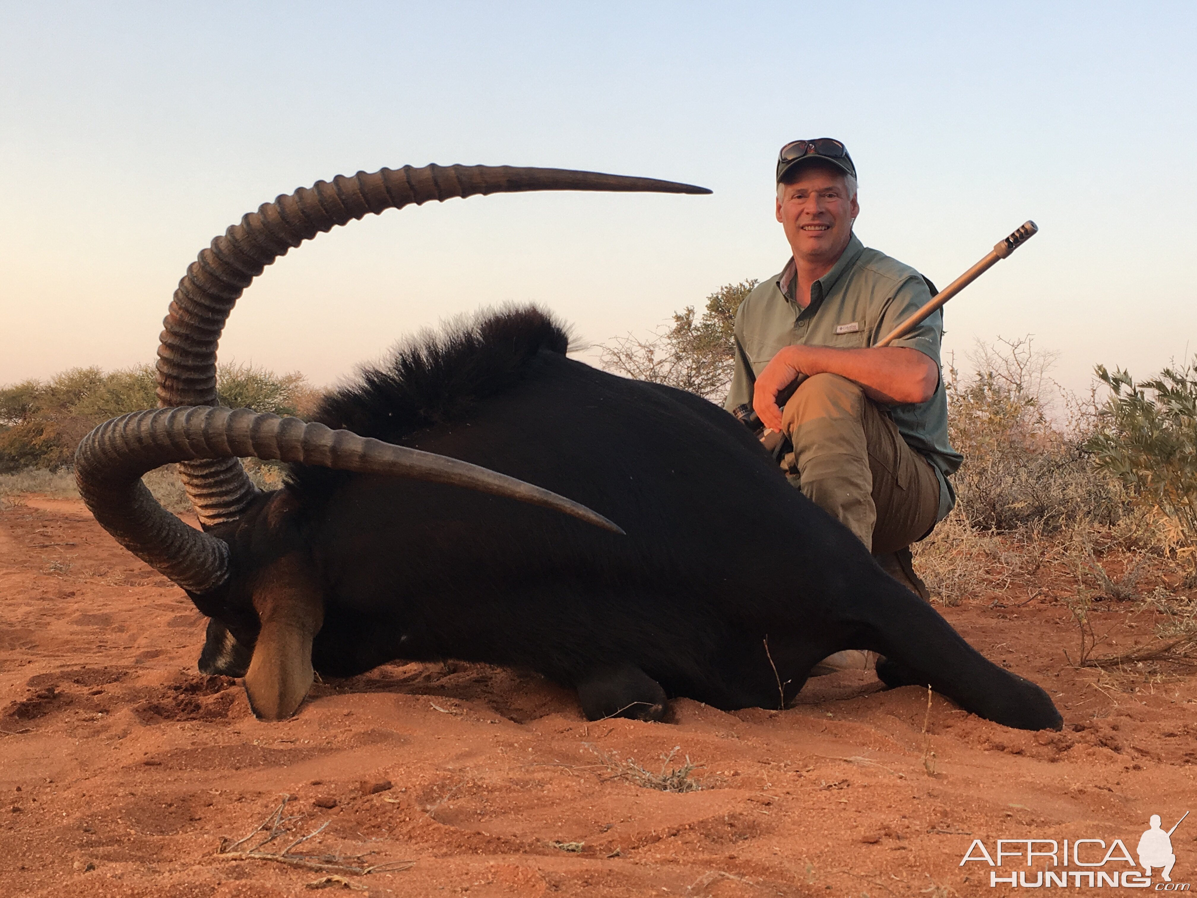 South Africa Hunt Sable Antelope