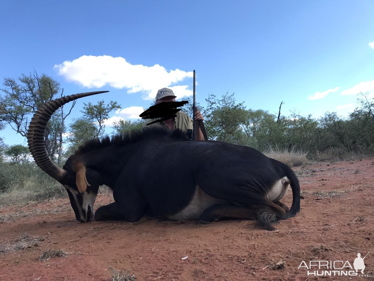 South Africa Hunt SCI Gold Sable Antelope