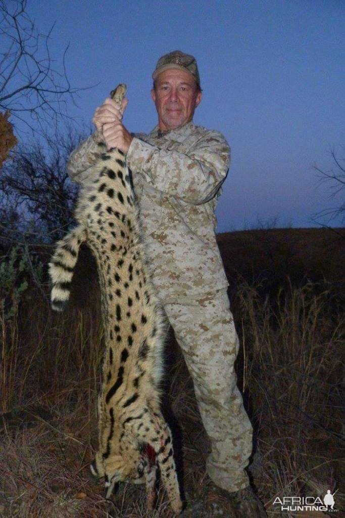 South Africa Hunt Serval Cat