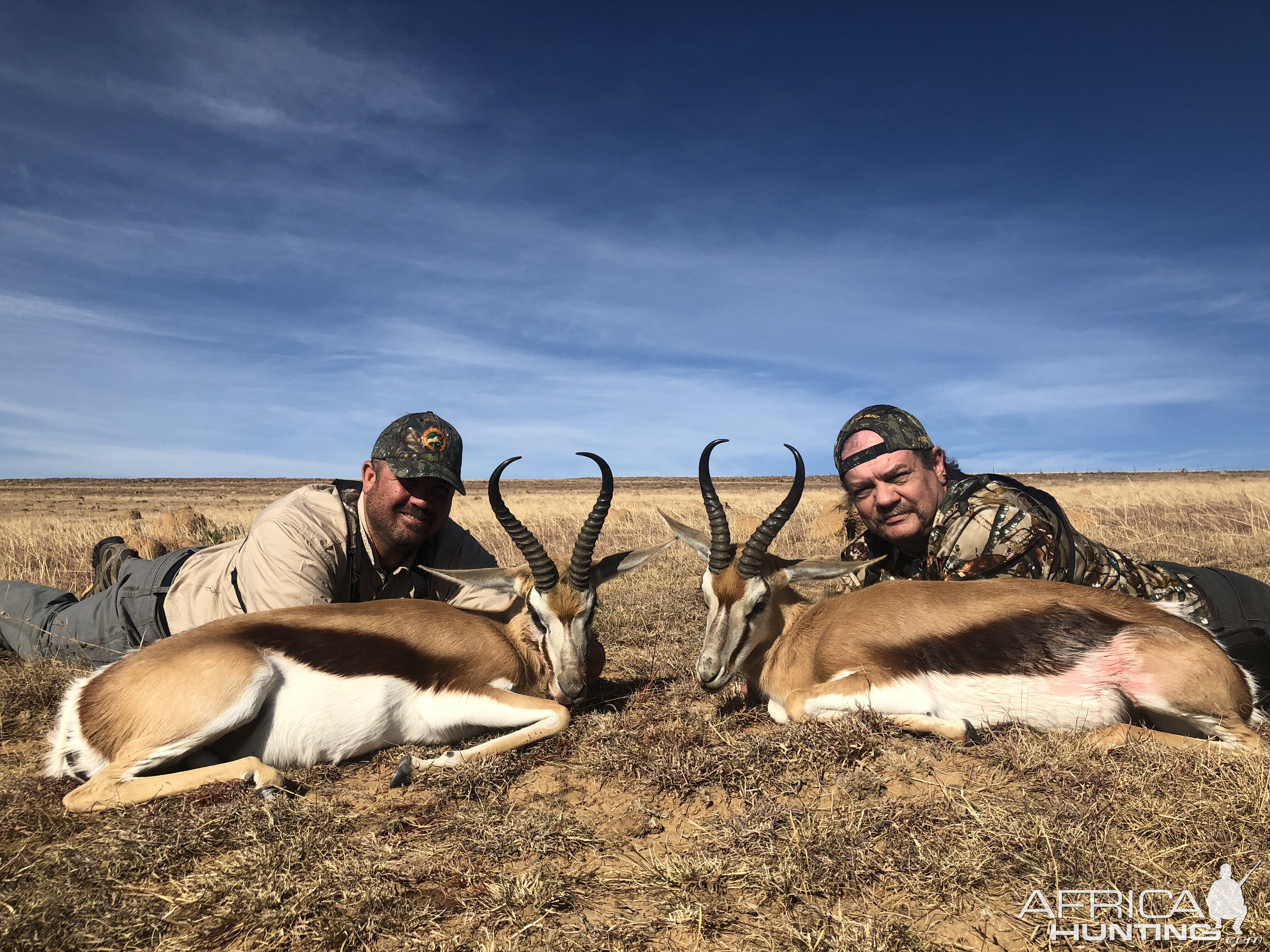 South Africa Hunt Springbok