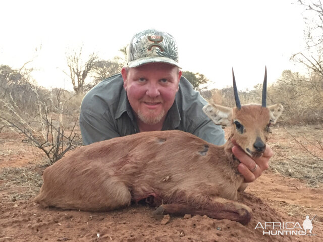 South Africa Hunt Steenbok