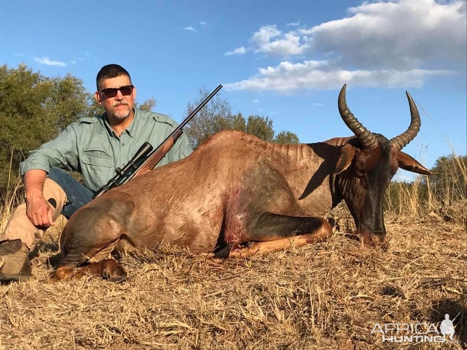 South Africa Hunt Tsessebe