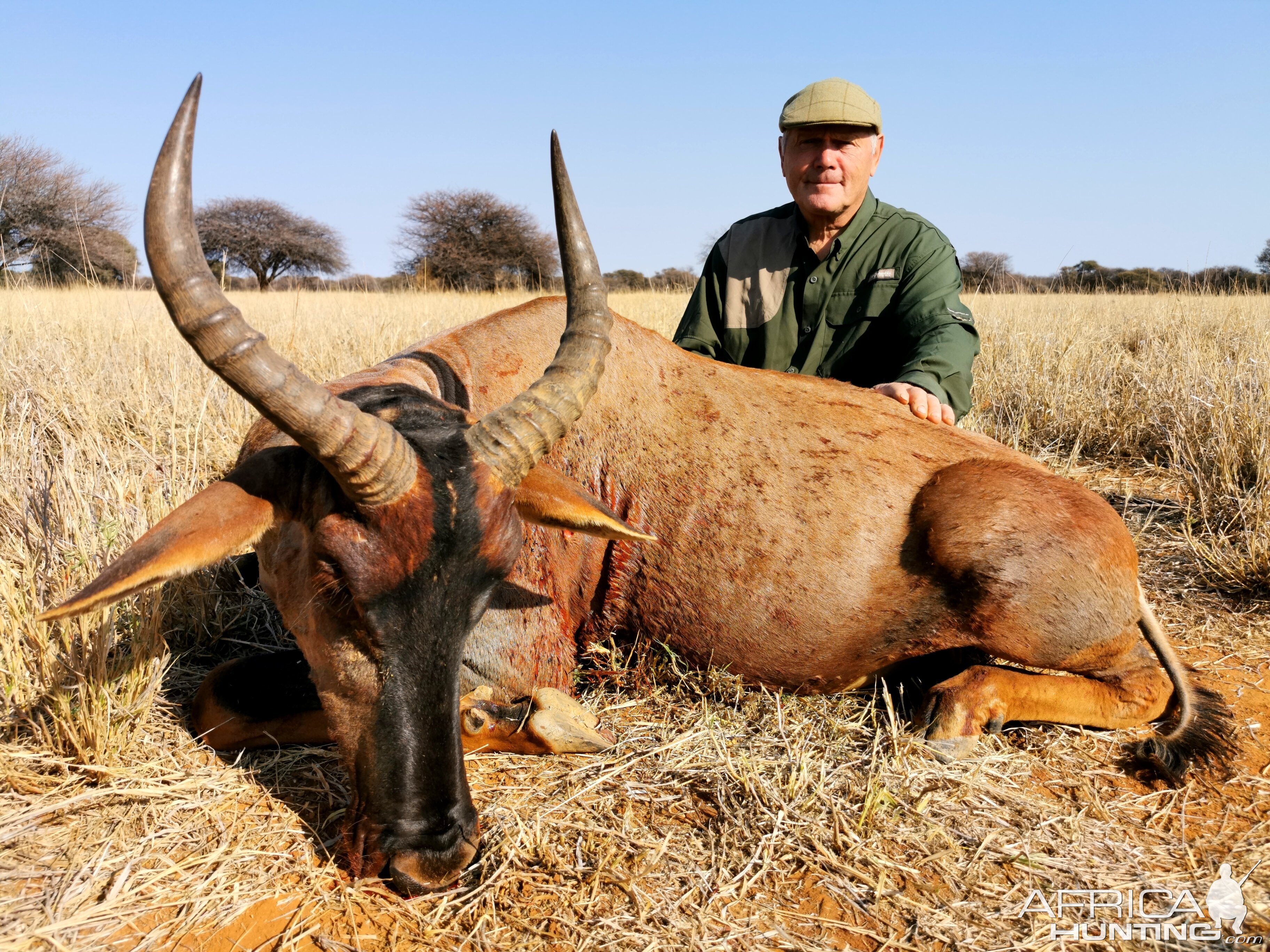 South Africa Hunt Tsessebe