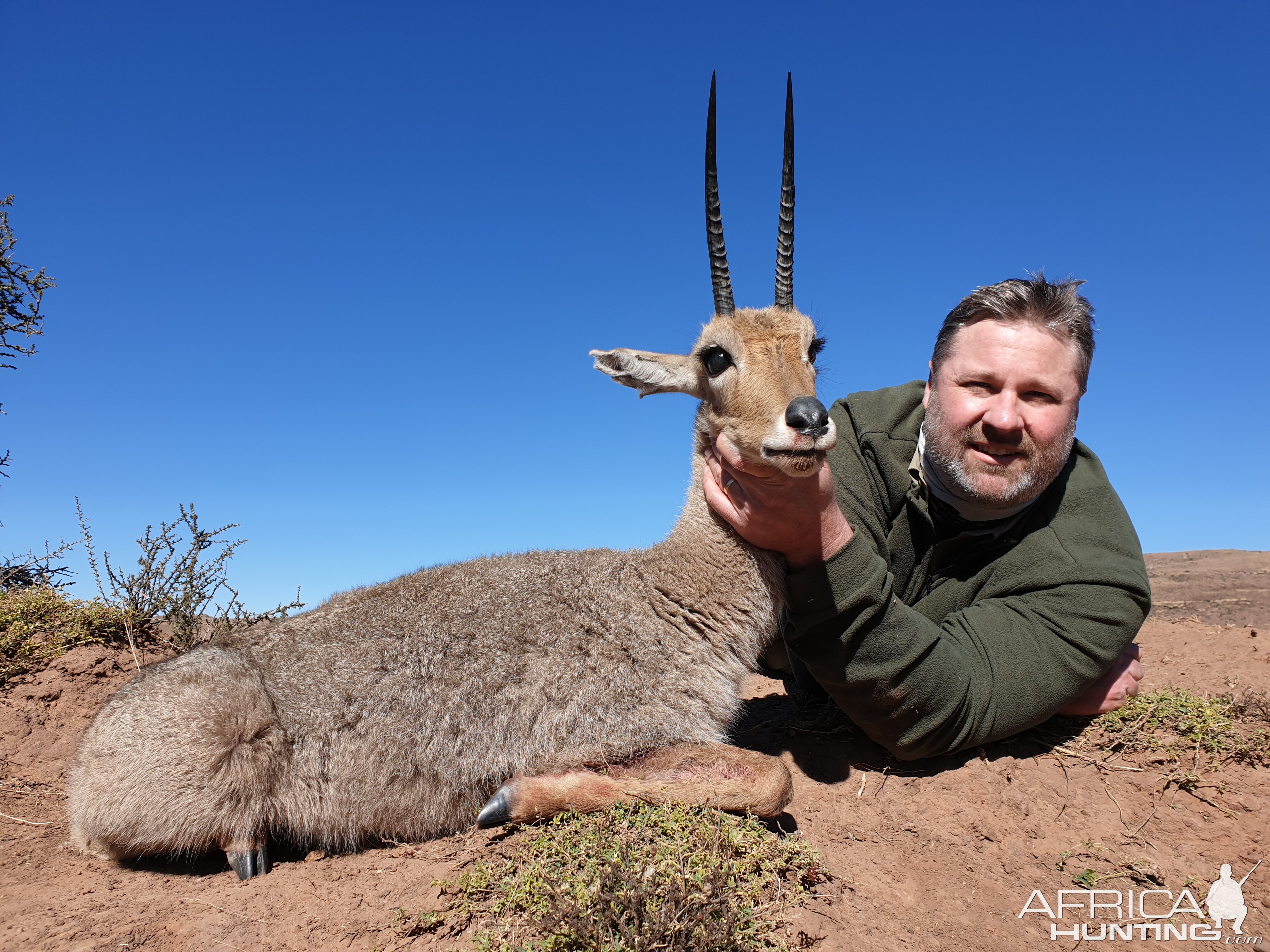 South Africa Hunt Vaal Rhebok