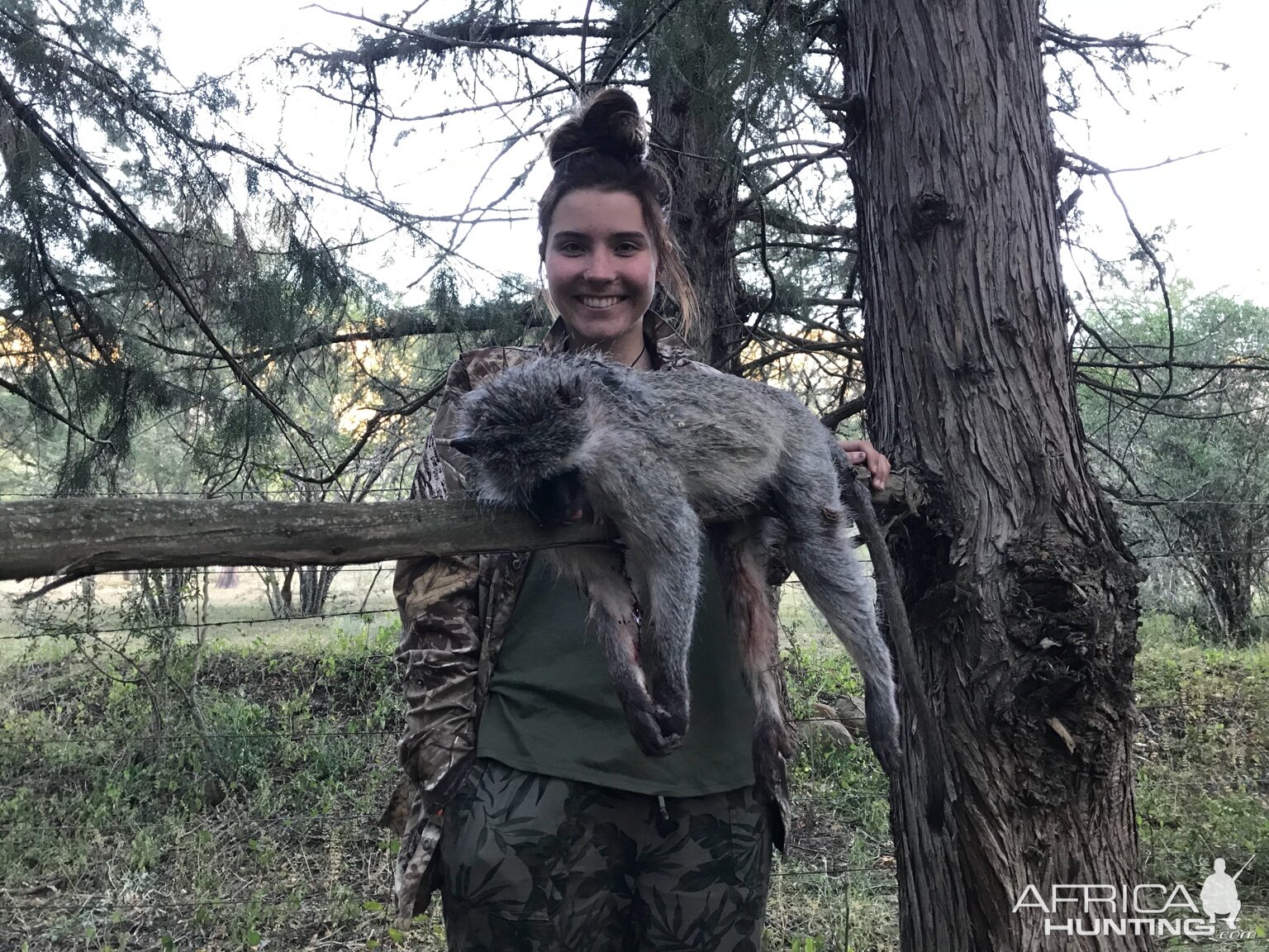 South Africa Hunt Vervet Monkey