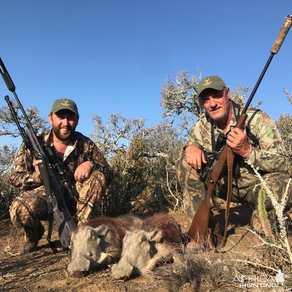 South Africa Hunt Warthog