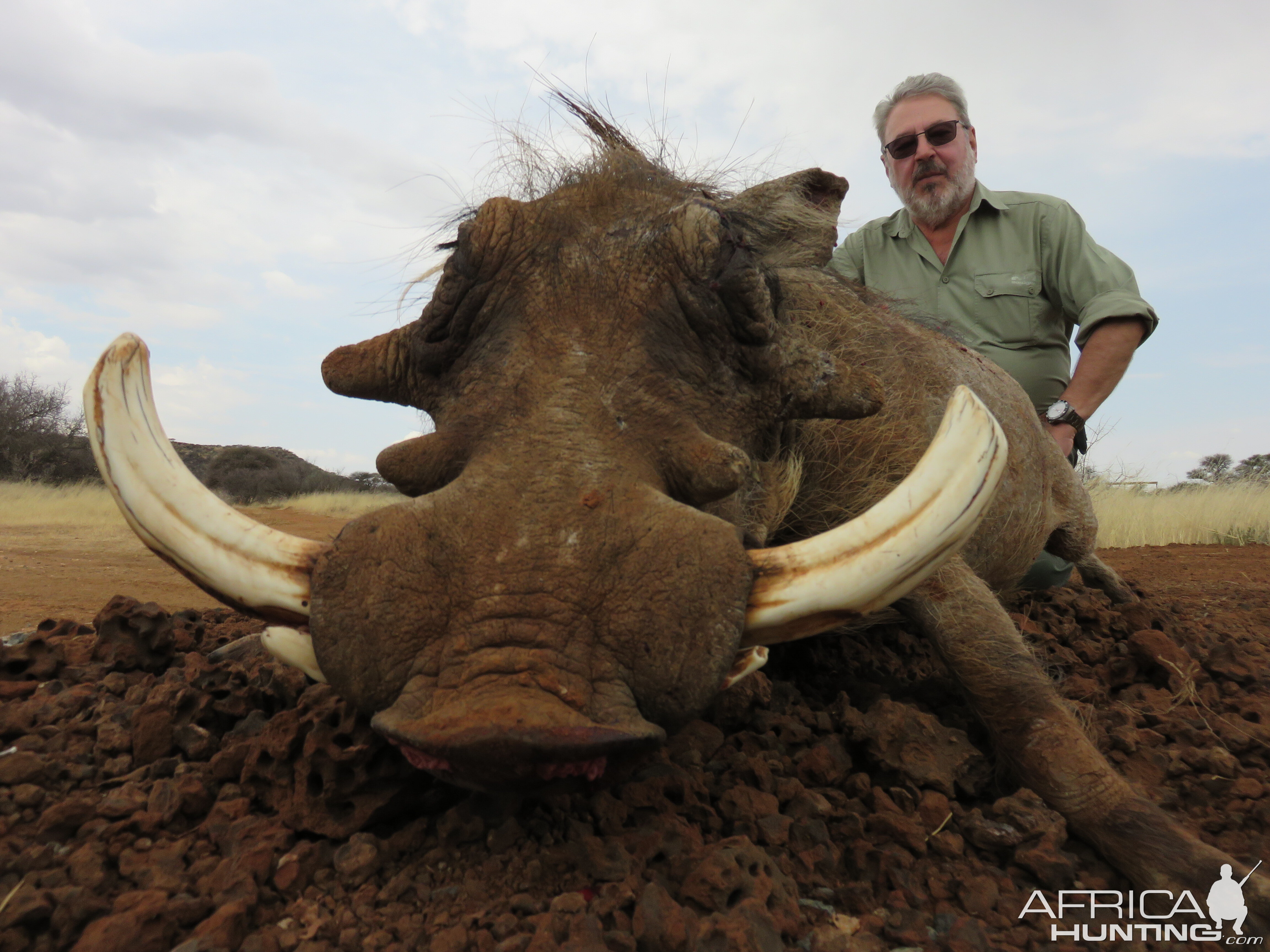 South Africa Hunt Warthog