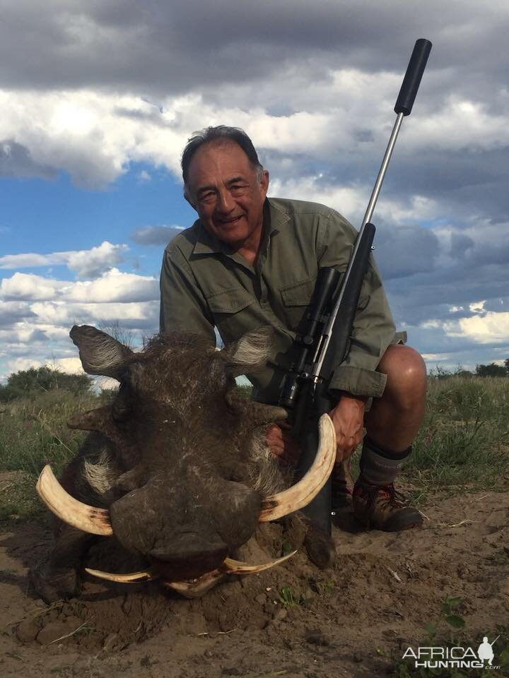 South Africa Hunt Warthog