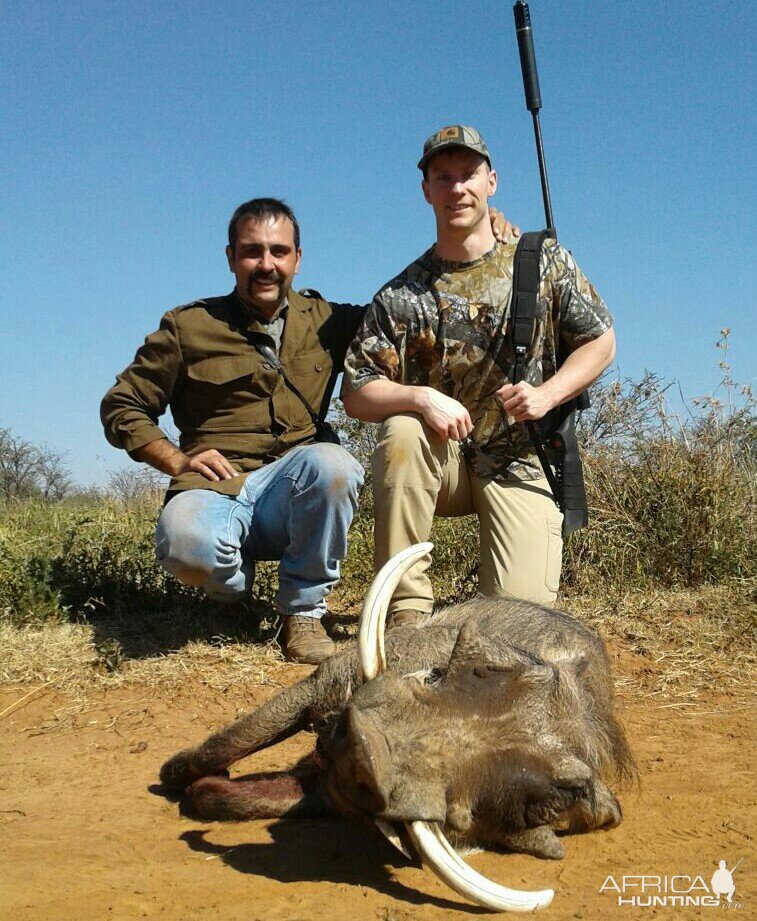 South Africa Hunt Warthog