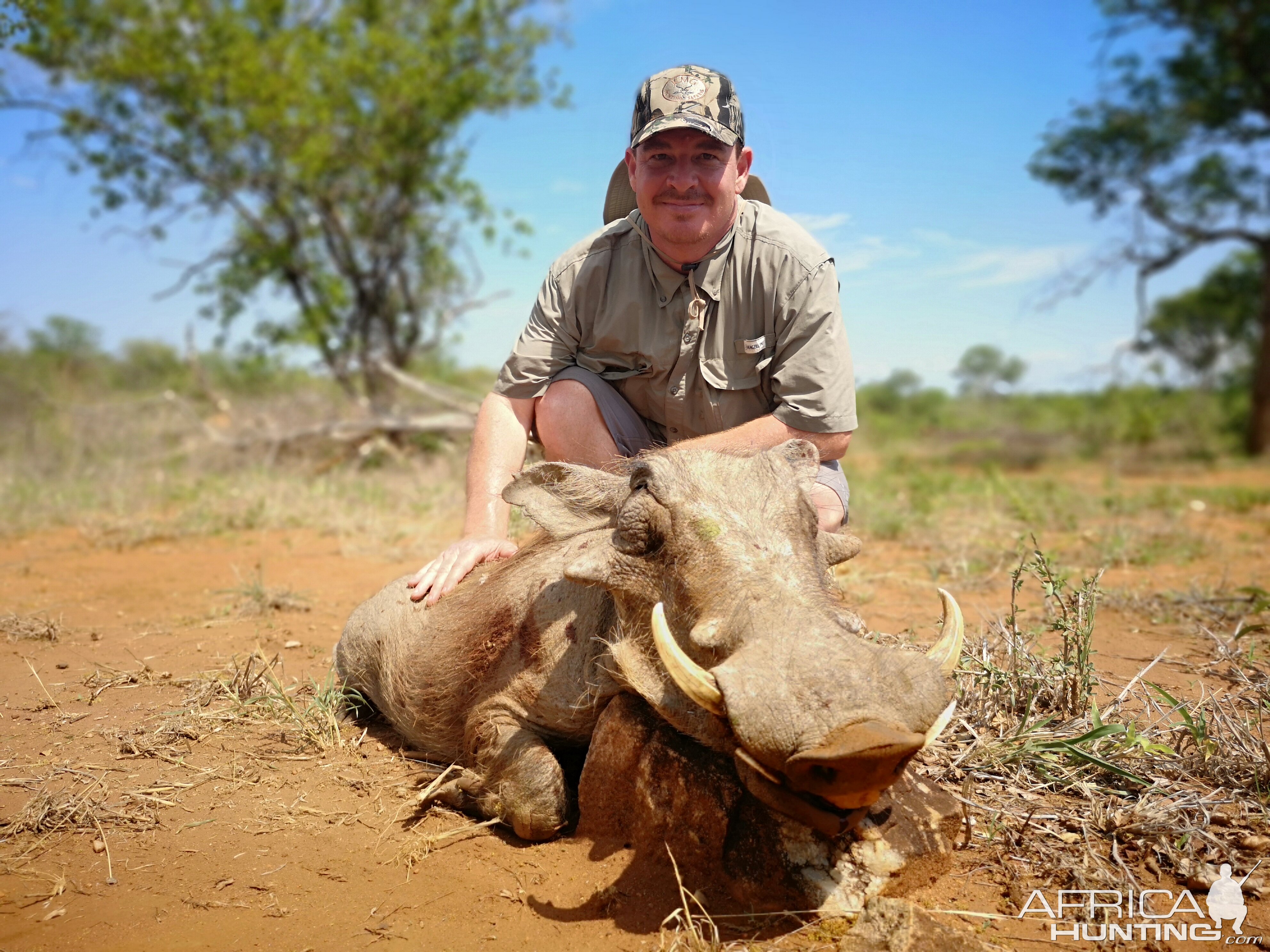 South Africa Hunt Warthog