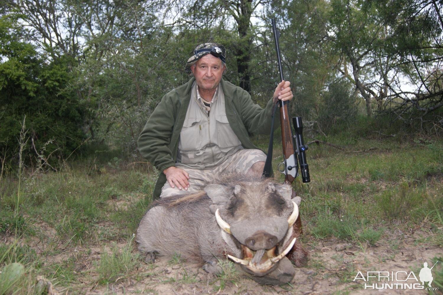 South Africa Hunt Warthog