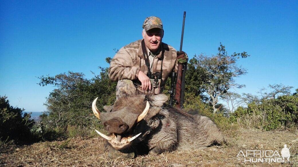 South Africa Hunt Warthog